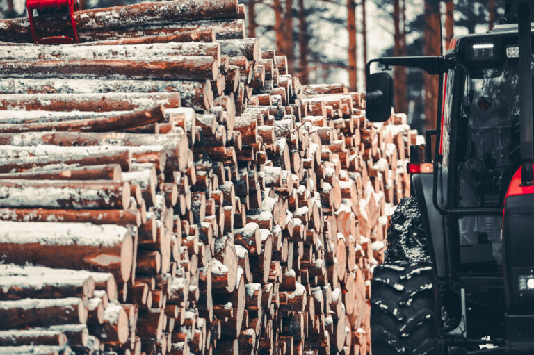 Bild på röjning i Västnyland